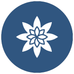 Attitude Adjustment Massage Therapy