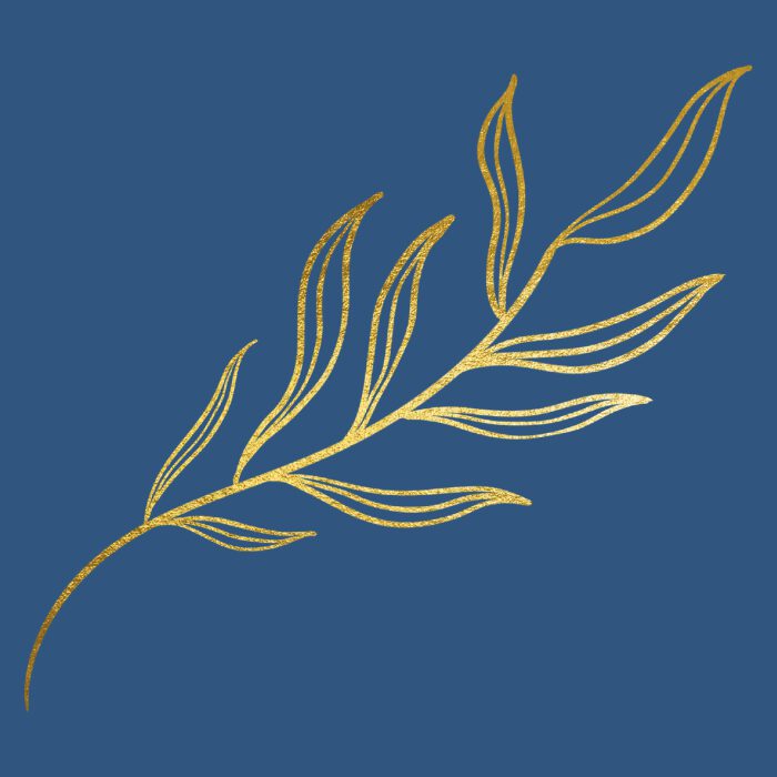 Massage Therapy Insurance 1