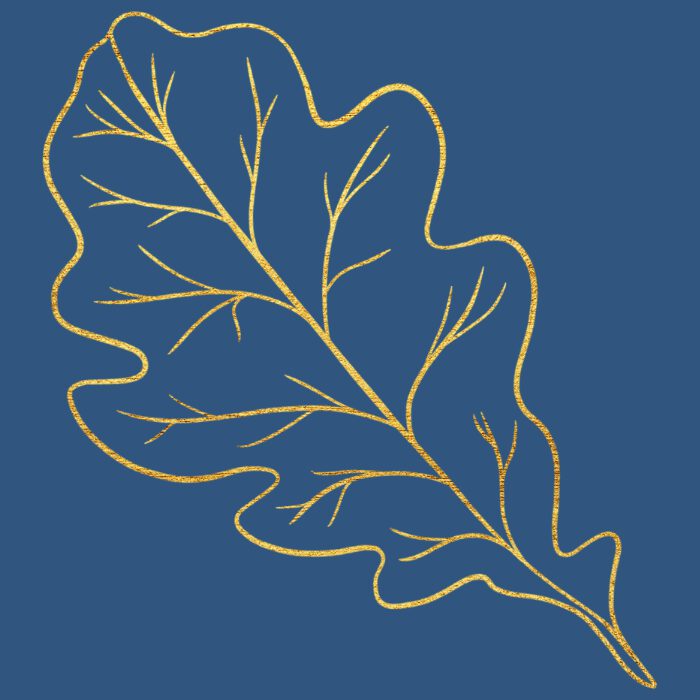 Massage Therapy Insurance 2