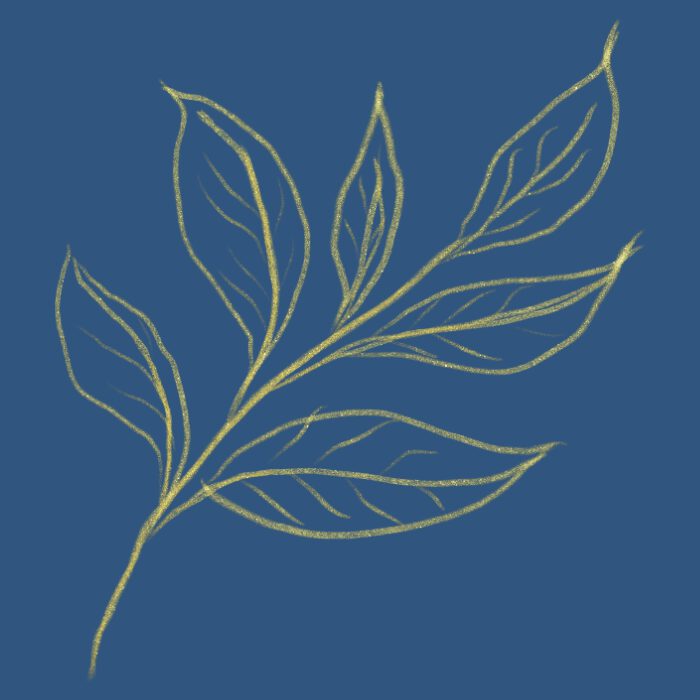 Massage Therapy Insurance 3